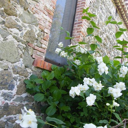 Agriturismo Il Giglio Oristano Exterior foto