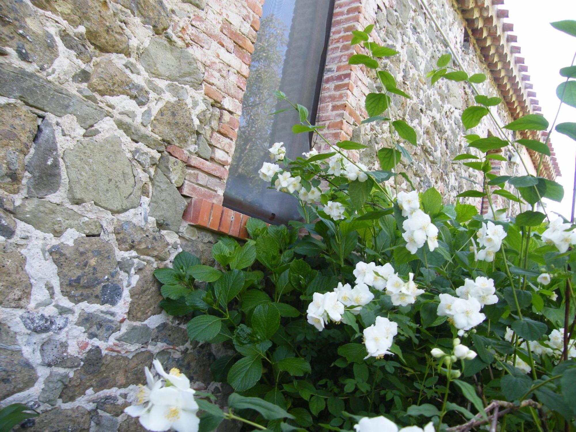 Agriturismo Il Giglio Oristano Exterior foto