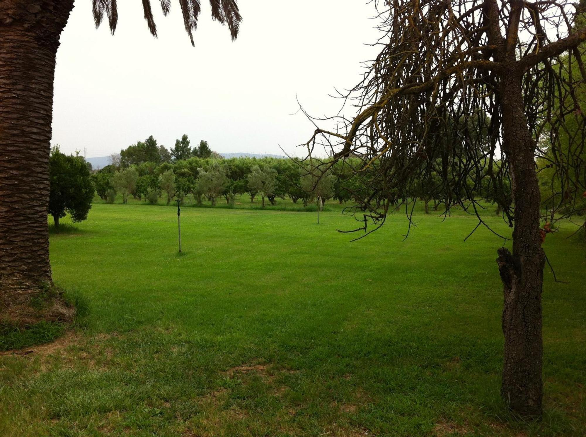 Agriturismo Il Giglio Oristano Exterior foto